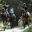 Michigan Riding Stables