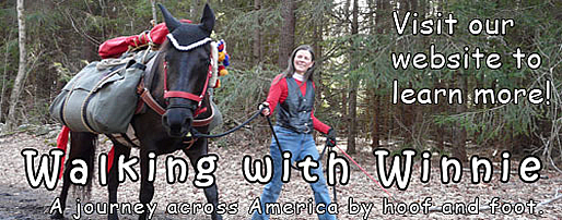 Walking with Winnie: A journey across America by hoof and foot