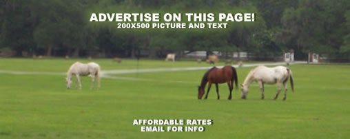 Horseback Riding on Dude Ranches - Alabama