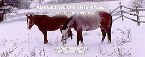 Horseback Riding Trails in Alaska
