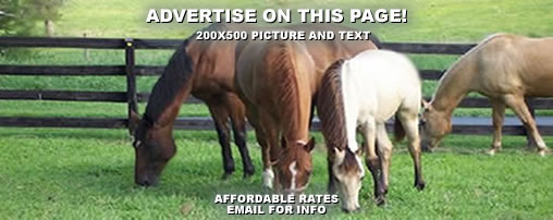 Horseback Riding Arkansas
