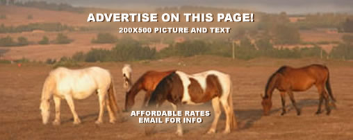 Equestrian Camps in California