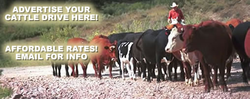 Oregon Cattle Drive