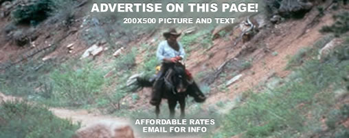 Horseback Riding Colorado