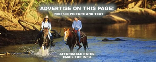 Overnight Horse Boarding in Georgia