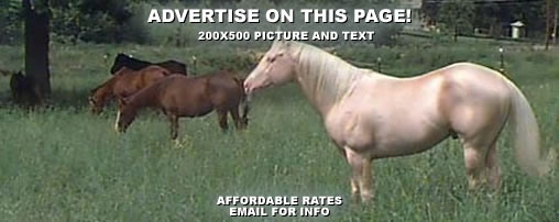Overnight Horse Boarding in Indiana