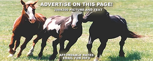 Horseback Riding Trails in Kansas