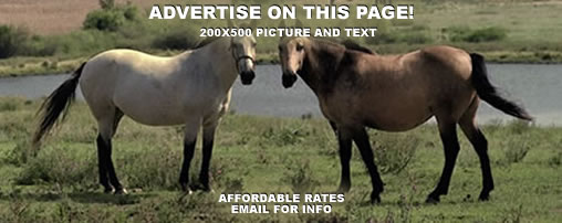 Horseback Riding Louisiana