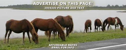 Horseback Riding Trails in Maryland
