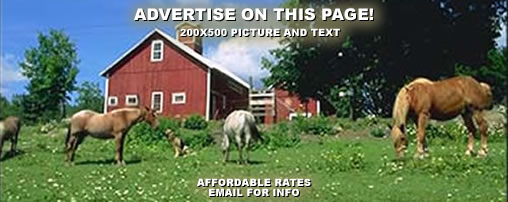 Horse Camping in Massachusetts