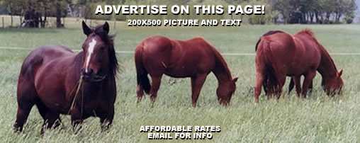 Horseback Riding Trails in Nebraska