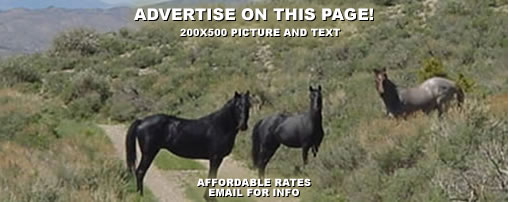 Horseback Riding Trails in Nevada