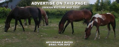 Horseback Riding Trails in New Hampshire