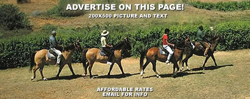 Horseback Riding New Mexico