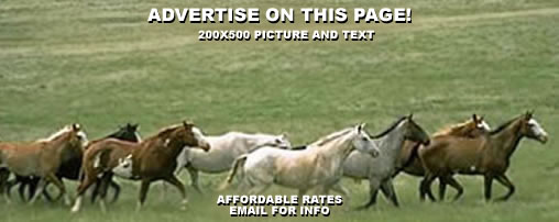 Horse Camping in  North Dakota