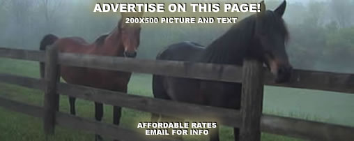 Horseback Riding Trails in Ohio