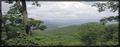 North Carolina Overnight Lodging & Stables!