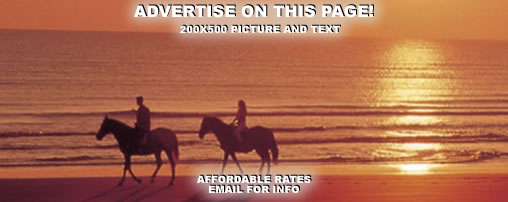Horseback Riding Trails in South Carolina 