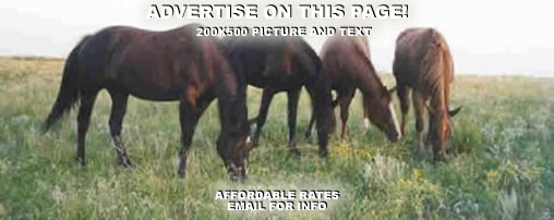 Horseback Riding Trails in South Dakota