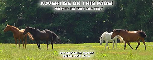 Horseback Riding Trails in Tennessee