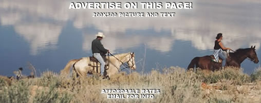 Equestrian Summer Camps in Utah