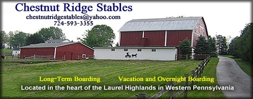 Chestnut Ridge Stables